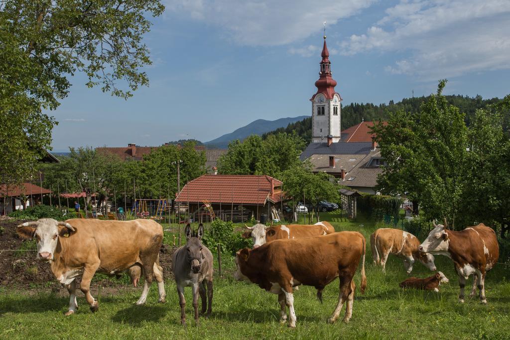 Bio Turisticna Kmetija Frcej-Zupan Villa Bled Exterior foto