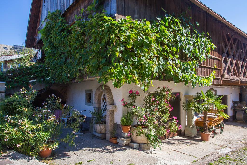 Bio Turisticna Kmetija Frcej-Zupan Villa Bled Exterior foto